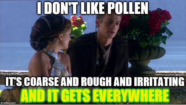 Pollen | I DON'T LIKE POLLEN; IT'S COARSE AND ROUGH AND IRRITATING; AND IT GETS EVERYWHERE | image tagged in anakin sand | made w/ Imgflip meme maker