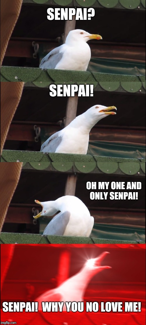 Gull Chan finds her Senpai | SENPAI? SENPAI! OH MY ONE AND ONLY SENPAI! SENPAI!  WHY YOU NO LOVE ME! | image tagged in memes,inhaling seagull,yandere simulator | made w/ Imgflip meme maker