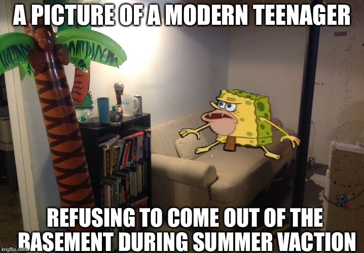 A PICTURE OF A MODERN TEENAGER; REFUSING TO COME OUT OF THE BASEMENT DURING SUMMER VACTION | image tagged in primitive basement sponge | made w/ Imgflip meme maker