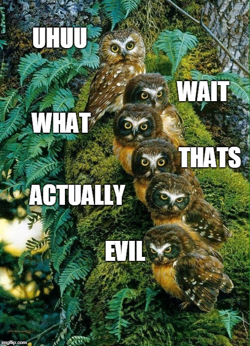 Re-evaluating owls | UHUU; WAIT; WHAT; THATS; ACTUALLY; EVIL | image tagged in owls | made w/ Imgflip meme maker