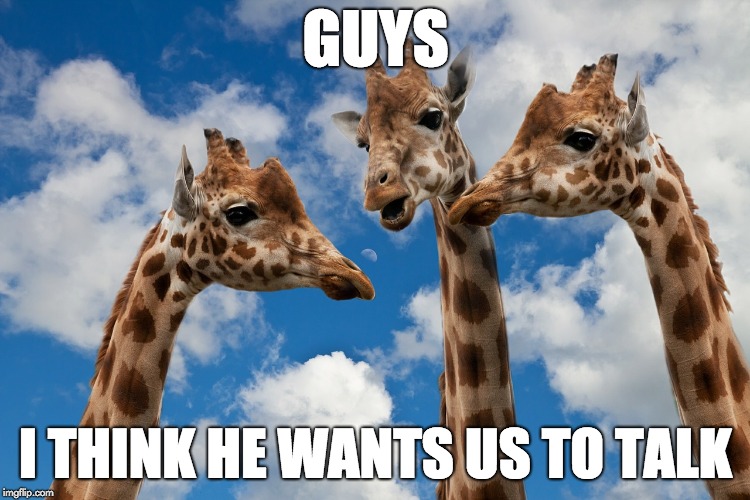 Uh what | GUYS; I THINK HE WANTS US TO TALK | image tagged in talk,discuss,group,what,uh oh | made w/ Imgflip meme maker