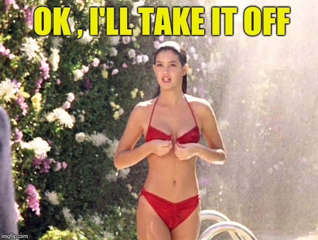 Phoebe Cates | OK , I'LL TAKE IT OFF | image tagged in phoebe cates | made w/ Imgflip meme maker