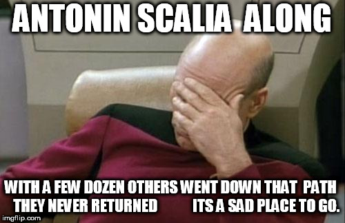 Captain Picard Facepalm Meme | ANTONIN SCALIA  ALONG WITH A FEW DOZEN OTHERS WENT DOWN THAT  PATH  

THEY NEVER RETURNED            ITS A SAD PLACE TO GO. | image tagged in memes,captain picard facepalm | made w/ Imgflip meme maker