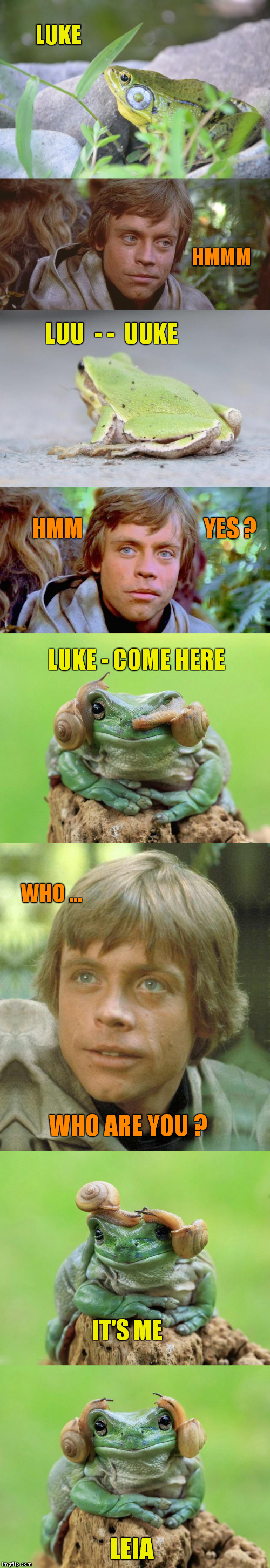 The Frog Princess - A New Hope |  LUKE; HMMM; LUU  - -  UUKE; HMM                            YES ? LUKE - COME HERE; WHO ... WHO ARE YOU ? IT'S ME; LEIA | image tagged in memes,princess leia,luke skywalker,frog prince,frog week | made w/ Imgflip meme maker