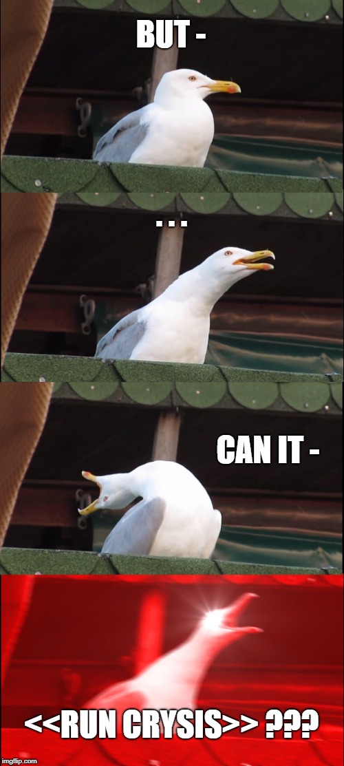 Inhaling Seagull Meme | BUT -; . . . CAN IT -; <<RUN CRYSIS>> ??? | image tagged in memes,inhaling seagull | made w/ Imgflip meme maker