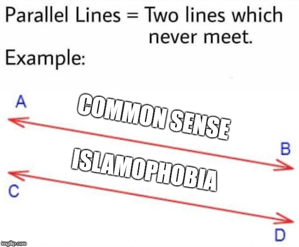 Parallel Lines | COMMON SENSE; ISLAMOPHOBIA | image tagged in parallel lines,common sense | made w/ Imgflip meme maker