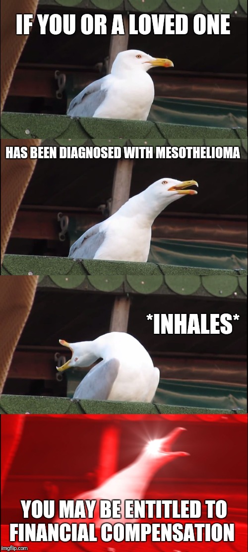 Inhaling Seagull Meme | IF YOU OR A LOVED ONE; HAS BEEN DIAGNOSED WITH MESOTHELIOMA; *INHALES*; YOU MAY BE ENTITLED TO FINANCIAL COMPENSATION | image tagged in memes,inhaling seagull | made w/ Imgflip meme maker