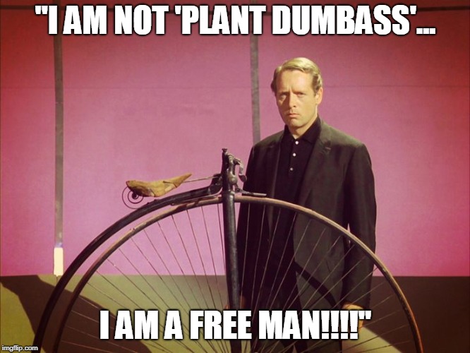 "I AM NOT 'PLANT DUMBASS'... I AM A FREE MAN!!!!" | made w/ Imgflip meme maker