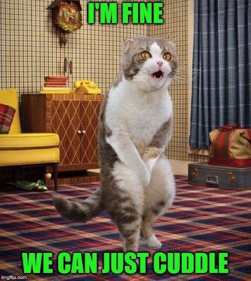 I'M FINE WE CAN JUST CUDDLE | made w/ Imgflip meme maker