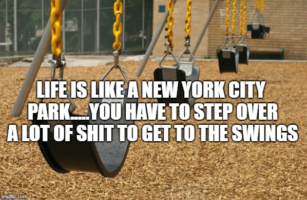 swings kill | LIFE IS LIKE A NEW YORK CITY PARK.....YOU HAVE TO STEP OVER A LOT OF SHIT TO GET TO THE SWINGS | image tagged in park,swings,memes,funny,funny memes | made w/ Imgflip meme maker