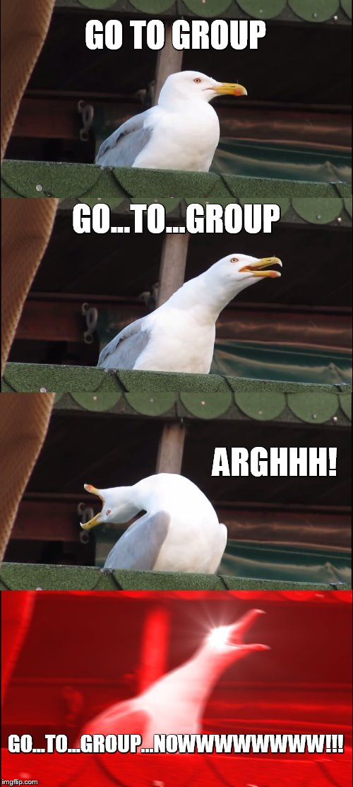 Inhaling Seagull | GO TO GROUP; GO...TO...GROUP; ARGHHH! GO...TO...GROUP...NOWWWWWWWW!!! | image tagged in memes,inhaling seagull | made w/ Imgflip meme maker