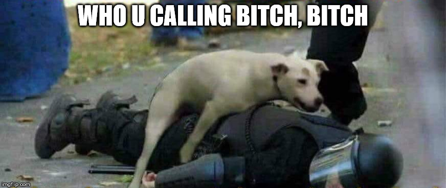 WHO U CALLING BITCH, BITCH | made w/ Imgflip meme maker