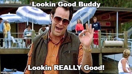 When someone makes a complete ass of themselves | Lookin Good Buddy; Lookin REALLY Good! | image tagged in fails,sarcasm | made w/ Imgflip meme maker