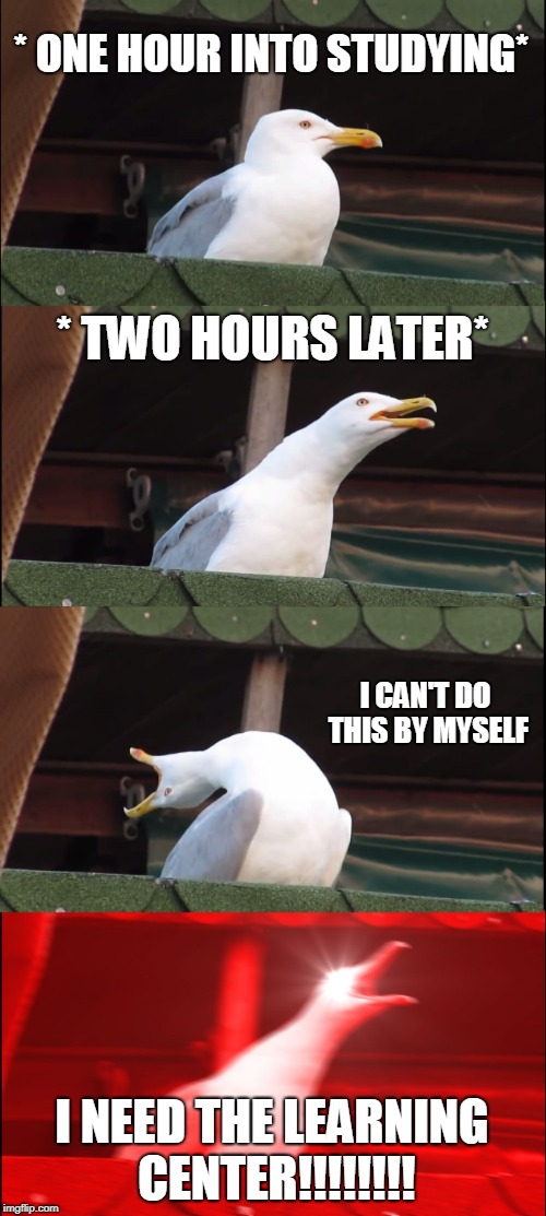 Inhaling Seagull Meme | * ONE HOUR INTO STUDYING*; * TWO HOURS LATER*; I CAN'T DO THIS BY MYSELF; I NEED THE LEARNING CENTER!!!!!!!! | image tagged in memes,inhaling seagull | made w/ Imgflip meme maker