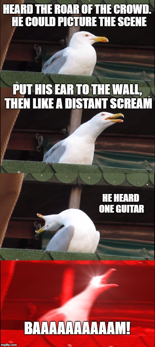 Juke Box Hero...First song I fell in love with. | HEARD THE ROAR OF THE CROWD.  HE COULD PICTURE THE SCENE; PUT HIS EAR TO THE WALL, THEN LIKE A DISTANT SCREAM; HE HEARD ONE GUITAR; BAAAAAAAAAAM! | image tagged in memes,inhaling seagull,rock music,funny,funny memes | made w/ Imgflip meme maker