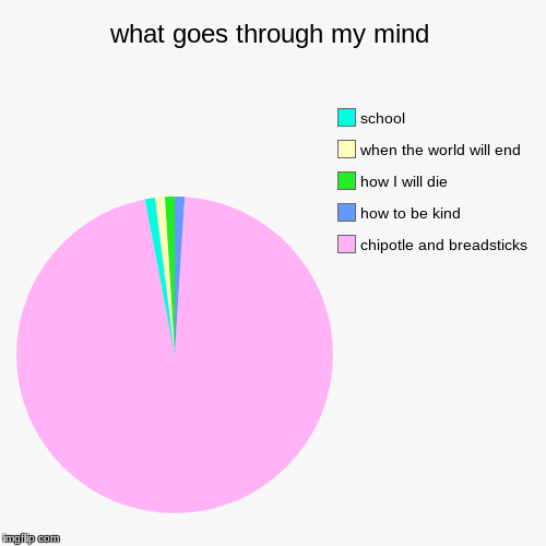 what goes through my mind | chipotle and breadsticks, how to be kind, how I will die , when the world will end , school | image tagged in funny,pie charts | made w/ Imgflip chart maker