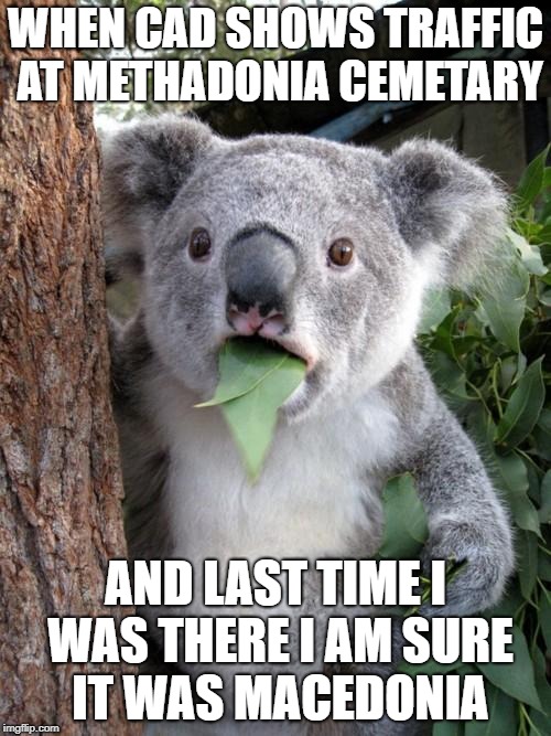 Surprised Koala Meme | WHEN CAD SHOWS TRAFFIC AT METHADONIA CEMETARY; AND LAST TIME I WAS THERE I AM SURE IT WAS MACEDONIA | image tagged in memes,surprised koala | made w/ Imgflip meme maker