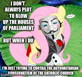 I DON'T ALWAYS PLOT TO BLOW UP THE HOUSES OF PARLIAMENT BUT WHEN I DO I'M JUST TRYING TO CURTAIL THE AUTHORITARIAN CONSERVATISM OF THE CATHO | made w/ Imgflip meme maker