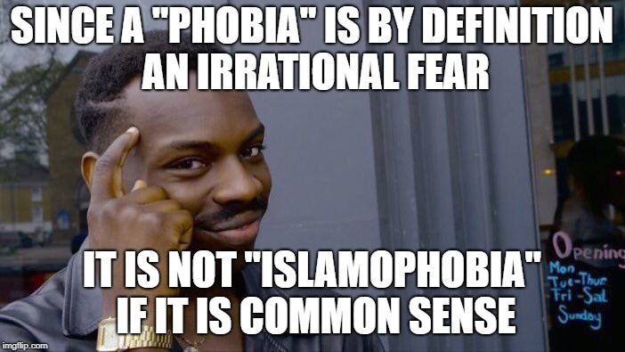 Roll Safe Think About It Meme | SINCE A "PHOBIA" IS BY DEFINITION AN IRRATIONAL FEAR IT IS NOT "ISLAMOPHOBIA" IF IT IS COMMON SENSE | image tagged in memes,roll safe think about it | made w/ Imgflip meme maker