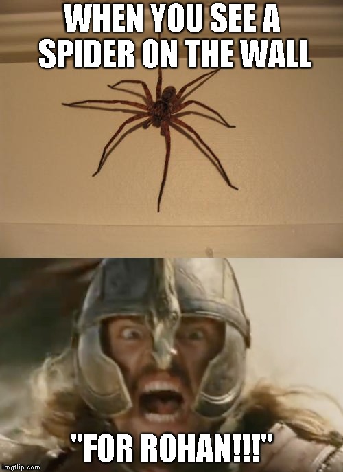 WHEN YOU SEE A SPIDER ON THE WALL; "FOR ROHAN!!!" | image tagged in lord of the rings | made w/ Imgflip meme maker
