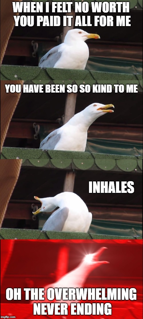 Inhaling Seagull | WHEN I FELT NO WORTH YOU PAID IT ALL FOR ME; YOU HAVE BEEN SO SO KIND TO ME; INHALES; OH THE OVERWHELMING NEVER ENDING | image tagged in memes,inhaling seagull | made w/ Imgflip meme maker