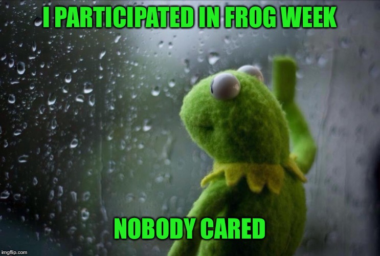 Sad Kermit | I PARTICIPATED IN FROG WEEK; NOBODY CARED | image tagged in sad kermit,memes,frog week,nobody cares | made w/ Imgflip meme maker