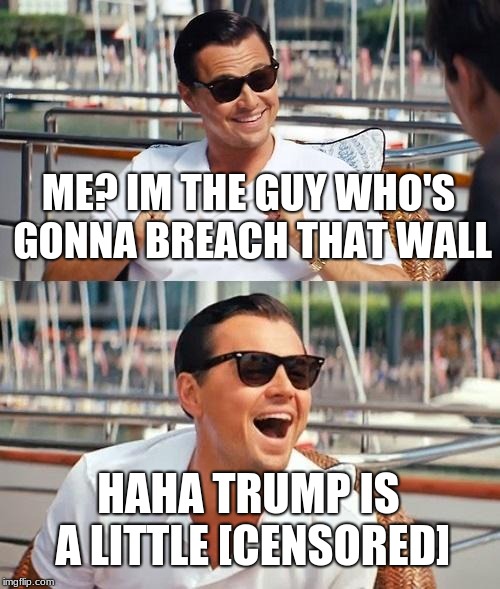 Leonardo Dicaprio Wolf Of Wall Street Meme | ME? IM THE GUY WHO'S GONNA BREACH THAT WALL; HAHA TRUMP IS A LITTLE [CENSORED] | image tagged in memes,leonardo dicaprio wolf of wall street | made w/ Imgflip meme maker