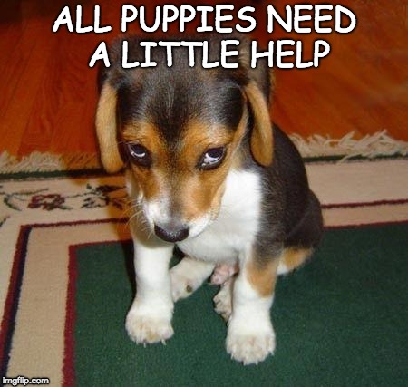 ashamed puppy | ALL PUPPIES NEED A LITTLE HELP | image tagged in ashamed puppy | made w/ Imgflip meme maker