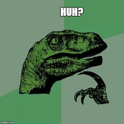 HUH? | image tagged in huh,question rage face,philosoraptor blue craziness,confused gandalf,nonsense | made w/ Imgflip meme maker