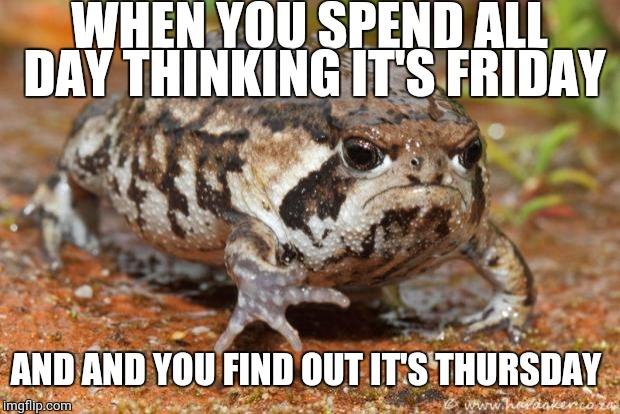 True story! Frog Week, June 4-10, a JBmemegeek & giveuahint event! | WHEN YOU SPEND ALL DAY THINKING IT'S FRIDAY; AND AND YOU FIND OUT IT'S THURSDAY | image tagged in memes,grumpy toad,frog week | made w/ Imgflip meme maker