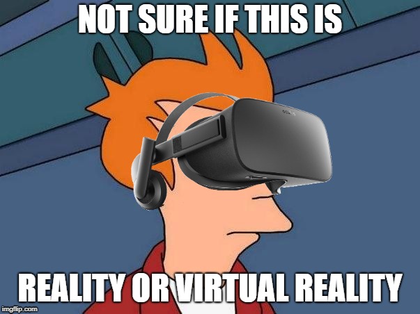 Virtual Reality | NOT SURE IF THIS IS; REALITY OR VIRTUAL REALITY | image tagged in memes,futurama fry,not sure if,fry not sure,fry not sure vr,virtual reality | made w/ Imgflip meme maker