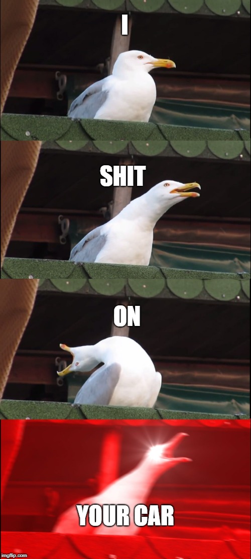 Inhaling Seagull Meme | I; SHIT; ON; YOUR CAR | image tagged in memes,inhaling seagull | made w/ Imgflip meme maker
