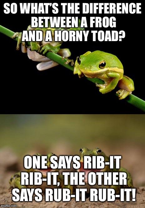 Another frog week joke |  SO WHAT’S THE DIFFERENCE BETWEEN A FROG AND A HORNY TOAD? ONE SAYS RIB-IT RIB-IT, THE OTHER SAYS RUB-IT RUB-IT! | image tagged in frog,frog week,jokes,toad,hypnotoad | made w/ Imgflip meme maker