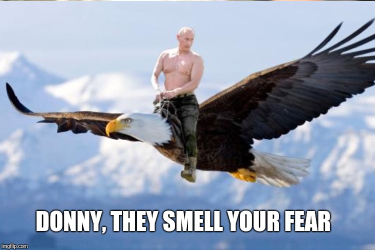 DONNY, THEY SMELL YOUR FEAR | made w/ Imgflip meme maker