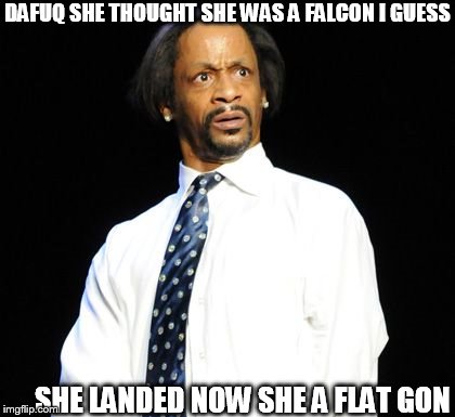 DAFUQ SHE THOUGHT SHE WAS A FALCON I GUESS SHE LANDED NOW SHE A FLAT GON | made w/ Imgflip meme maker
