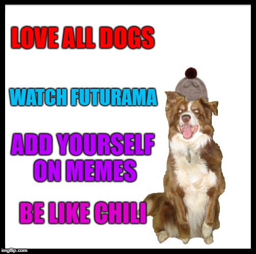 Be Like Bill Meme | LOVE ALL DOGS; WATCH FUTURAMA; ADD YOURSELF ON MEMES; BE LIKE CHILI | image tagged in memes,chili the border collie,dogs,border collie | made w/ Imgflip meme maker