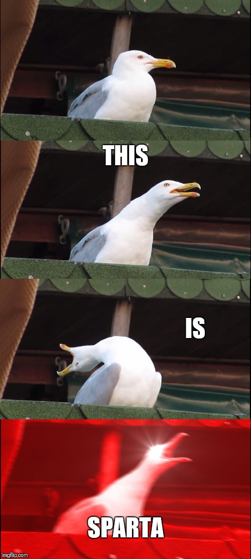 Inhaling Seagull | THIS; IS; SPARTA | image tagged in memes,inhaling seagull | made w/ Imgflip meme maker