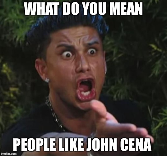 WWE Meme | WHAT DO YOU MEAN; PEOPLE LIKE JOHN CENA | image tagged in memes | made w/ Imgflip meme maker