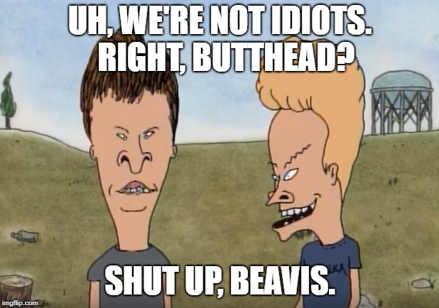 UH, WE'RE NOT IDIOTS.  RIGHT, BUTTHEAD? SHUT UP, BEAVIS. | made w/ Imgflip meme maker