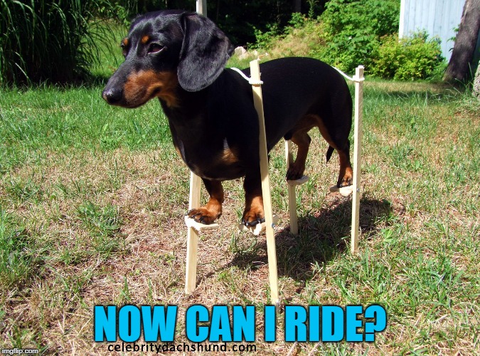 NOW CAN I RIDE? | made w/ Imgflip meme maker
