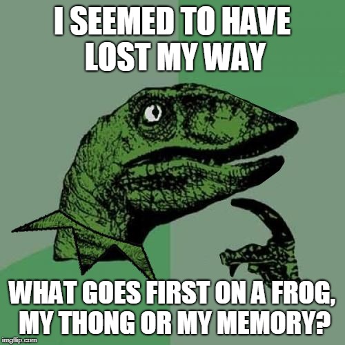 Maybe I should Try Hare Krishna. (Frog Week June 4-10, a JBmemegeek & giveuahint event!) |  I SEEMED TO HAVE LOST MY WAY; WHAT GOES FIRST ON A FROG, MY THONG OR MY MEMORY? | image tagged in philosokermit | made w/ Imgflip meme maker