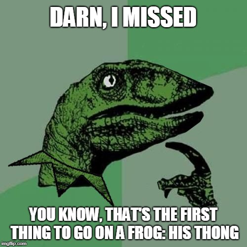 Or was it My Memory? (Frog Week June 4-10, a JBmemegeek & giveuahint event!) |  DARN, I MISSED; YOU KNOW, THAT'S THE FIRST THING TO GO ON A FROG: HIS THONG | image tagged in philosokermit | made w/ Imgflip meme maker