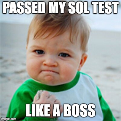 Fist Pump baby | PASSED MY SOL TEST; LIKE A BOSS | image tagged in fist pump baby | made w/ Imgflip meme maker