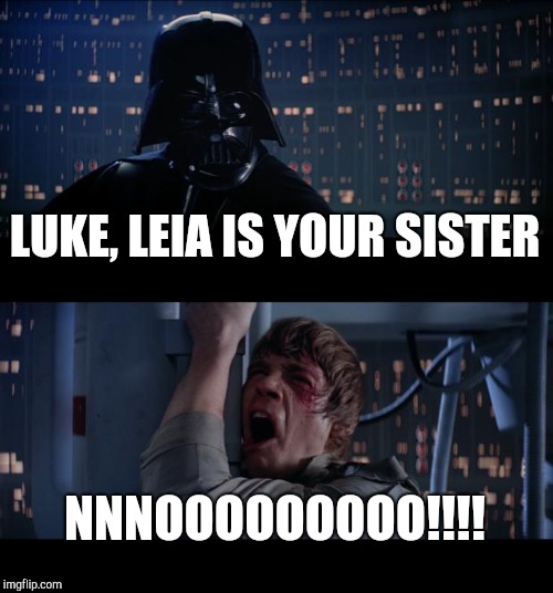 Star Wars No | LUKE, LEIA IS YOUR SISTER; NNNOOOOOOOOO!!!! | image tagged in memes,star wars no | made w/ Imgflip meme maker