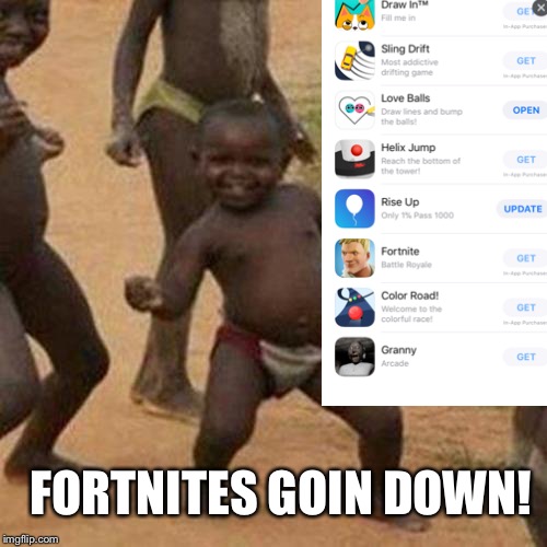 Third World Success Kid Meme | FORTNITES GOIN DOWN! | image tagged in memes,third world success kid | made w/ Imgflip meme maker