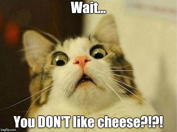 Scared Cat Meme | Wait... You DON'T like cheese?!?! | image tagged in memes,scared cat | made w/ Imgflip meme maker
