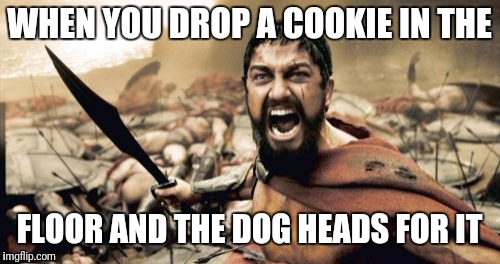Sparta Leonidas Meme | WHEN YOU DROP A COOKIE IN THE; FLOOR AND THE DOG HEADS FOR IT | image tagged in memes,sparta leonidas | made w/ Imgflip meme maker