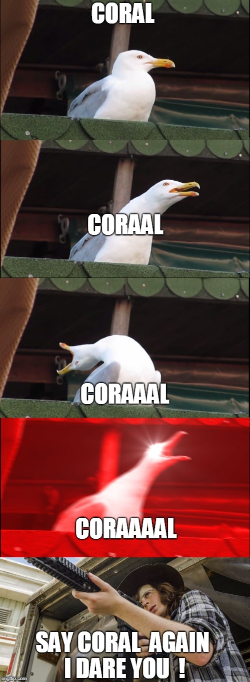 dont mess with coral euh i mean carl  | CORAL; CORAAL; CORAAAL; CORAAAAL; SAY CORAL  AGAIN I DARE YOU  ! | image tagged in the walking dead coral | made w/ Imgflip meme maker