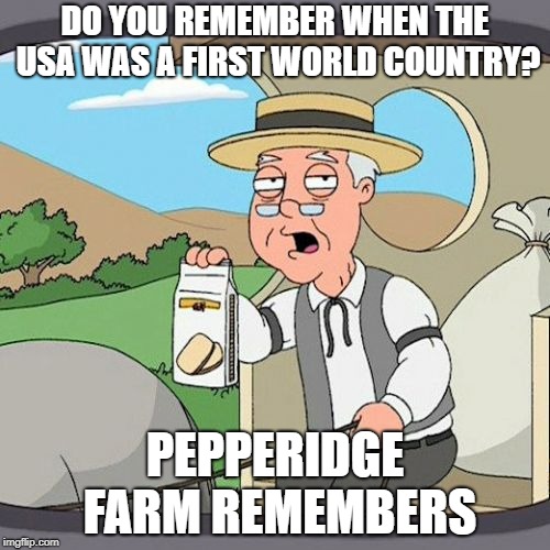 Pepperidge Farm Remembers Meme | DO YOU REMEMBER WHEN THE USA WAS A FIRST WORLD COUNTRY? PEPPERIDGE FARM REMEMBERS | image tagged in memes,pepperidge farm remembers | made w/ Imgflip meme maker
