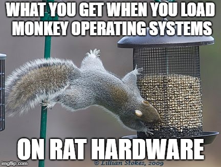 rat hardware/monkey OS | WHAT YOU GET WHEN YOU LOAD MONKEY OPERATING SYSTEMS; ON RAT HARDWARE | image tagged in funny squirrel | made w/ Imgflip meme maker